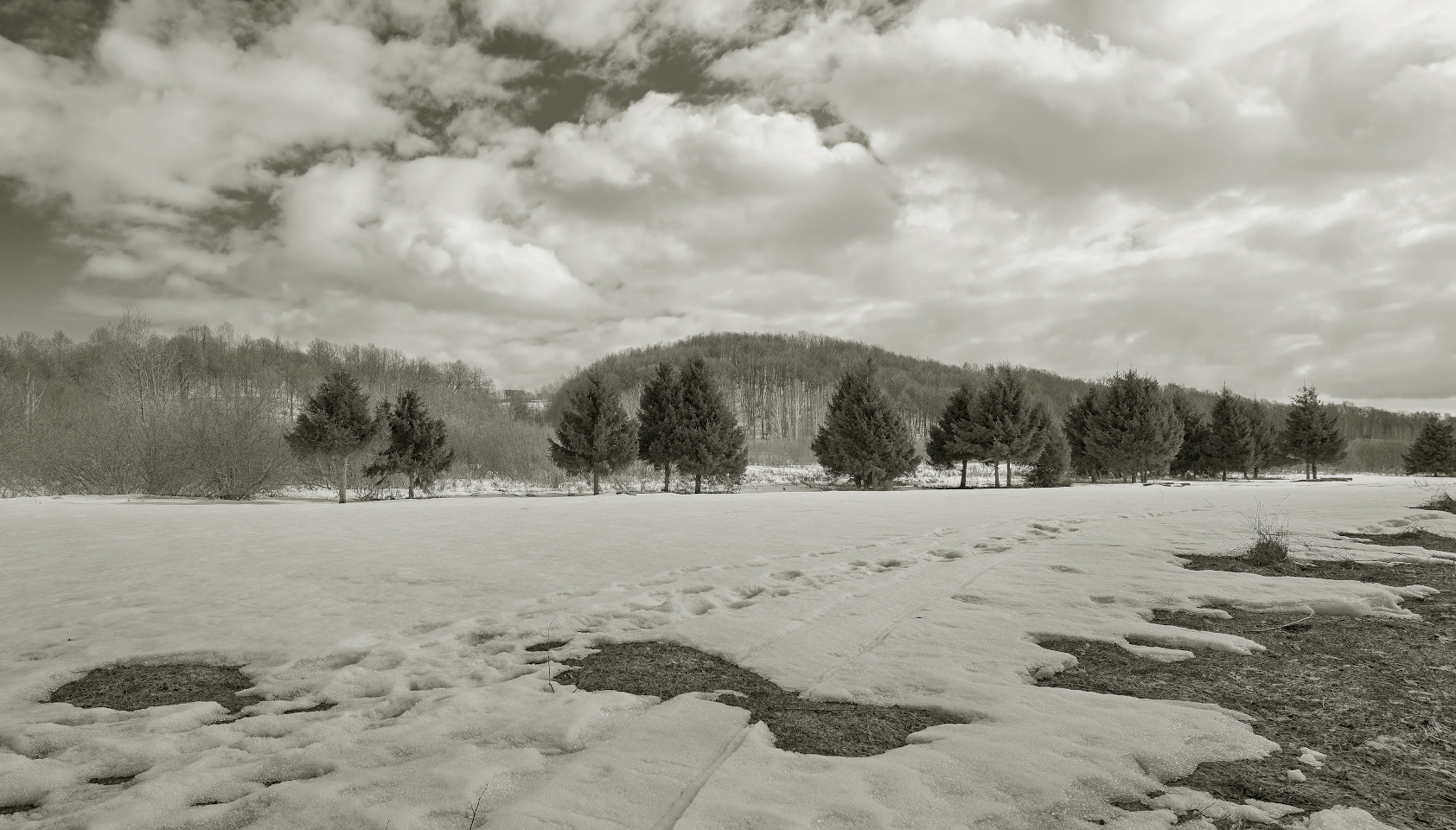 photo "***" tags: landscape, nature, black&white, 