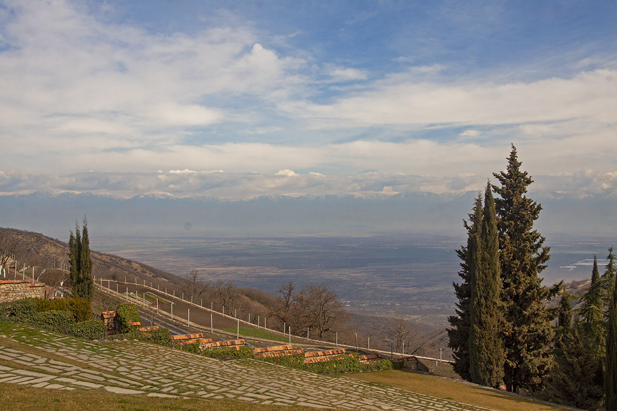 photo "Sighnaghi. Georgia" tags: landscape, travel, nature, Alazani Valley, Georgia, Sighnaghi, mountains, sky, tree, tree, wine, Алазанская долина, Грузия, Сигнахи