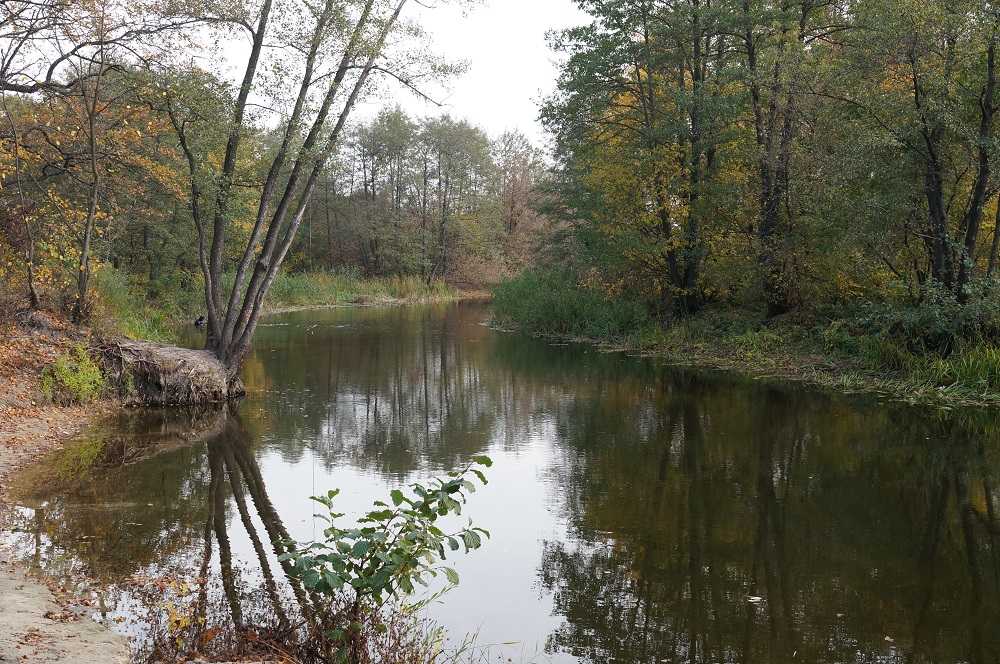 photo "***" tags: landscape, 
