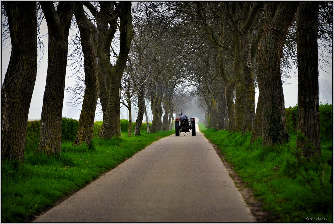 photo "***" tags: landscape, street, nature, 