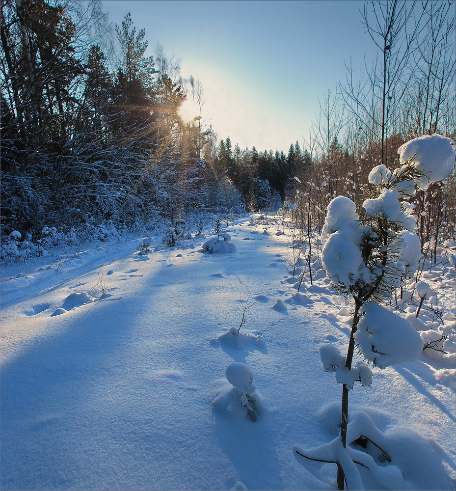 photo "***" tags: landscape, nature, 