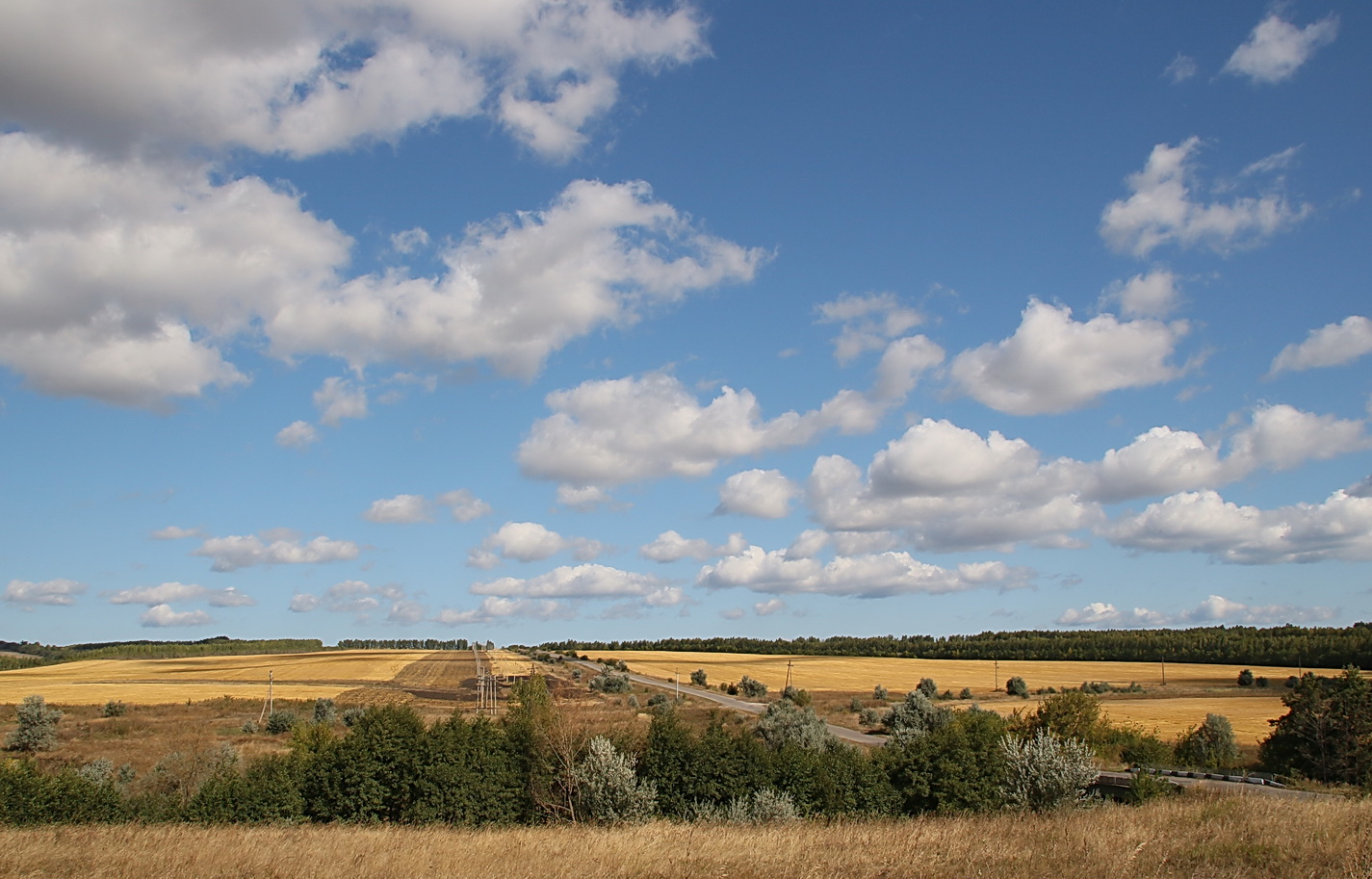 photo "***" tags: landscape, field