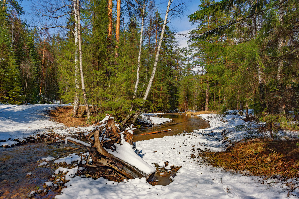 фото "Весеннее настроение" метки: пейзаж, 