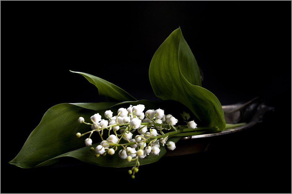 photo "***" tags: still life, 