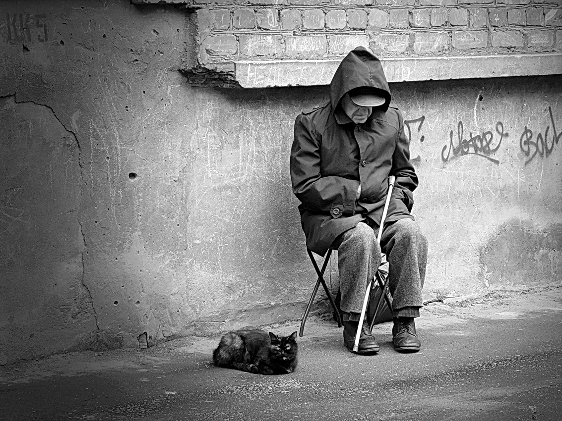 photo "***" tags: genre, black&white, street, man, pets/farm animals, tomcat