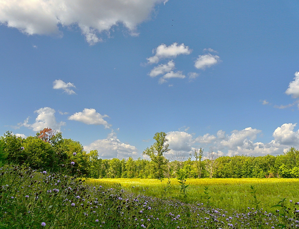 photo "***" tags: landscape, travel, nature, summer