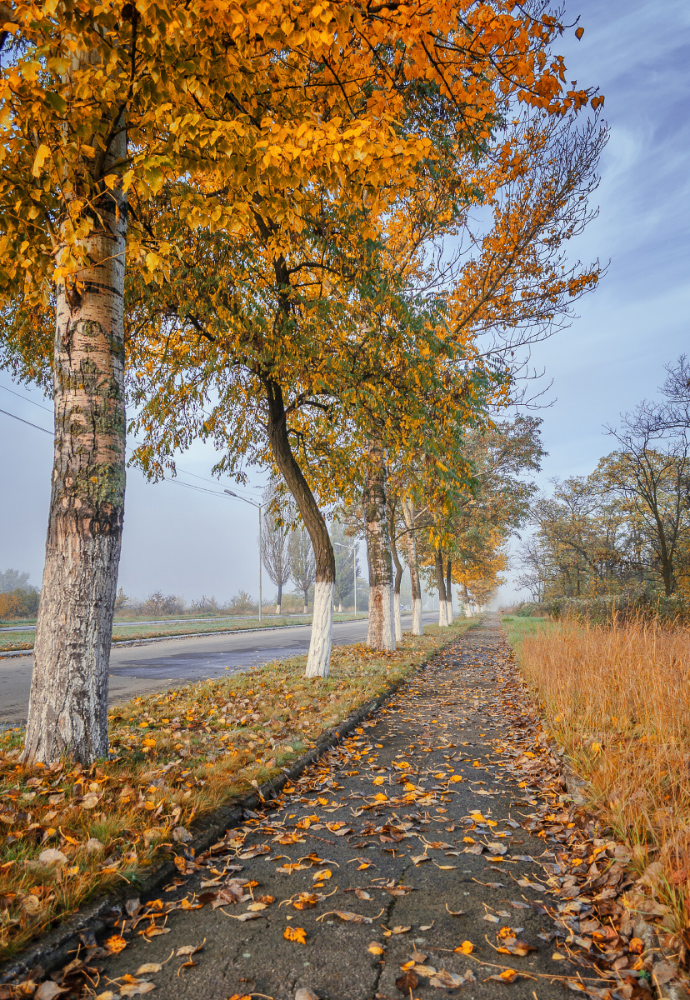 photo "Autumn" tags: landscape, nature, misc., autumn, road, деревья, листья, тротуар