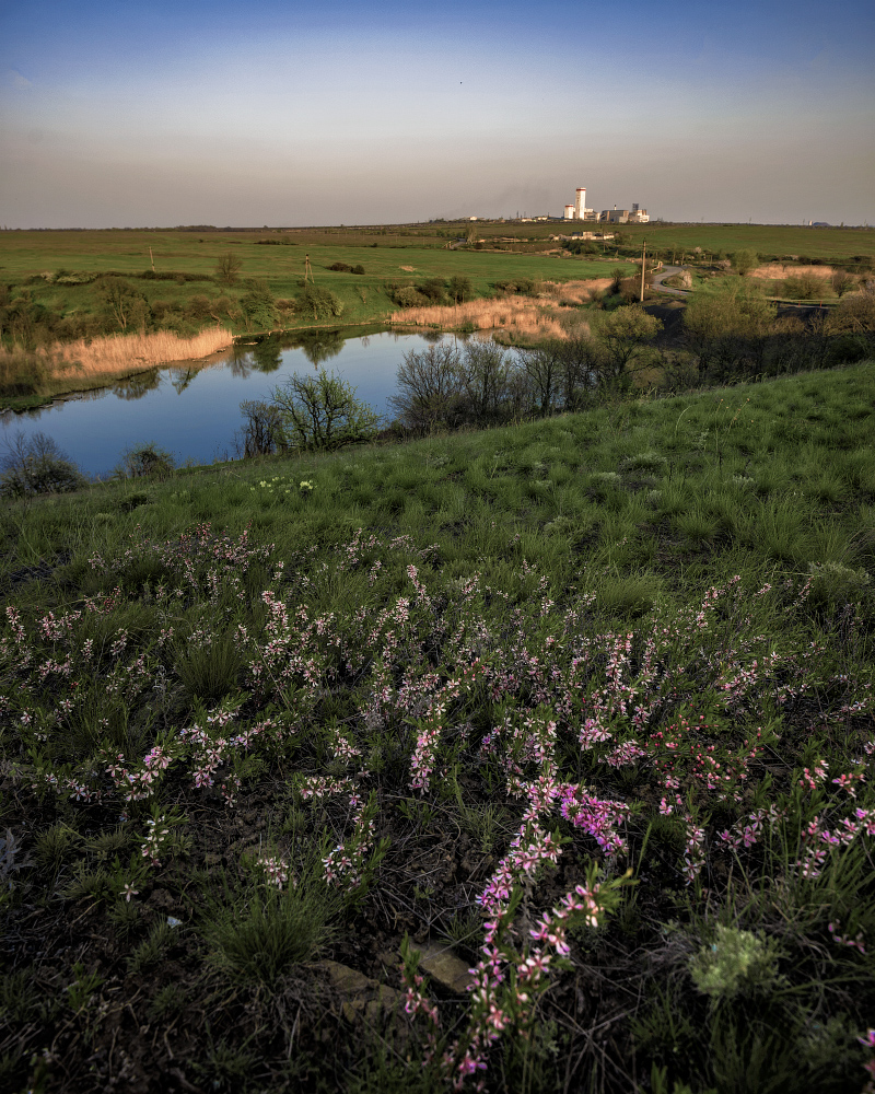 photo "Donetsk steppe" tags: landscape, nature, flowers, grass, pond, road, Донбасс, Донецкая степь, ставок, степь, шахта