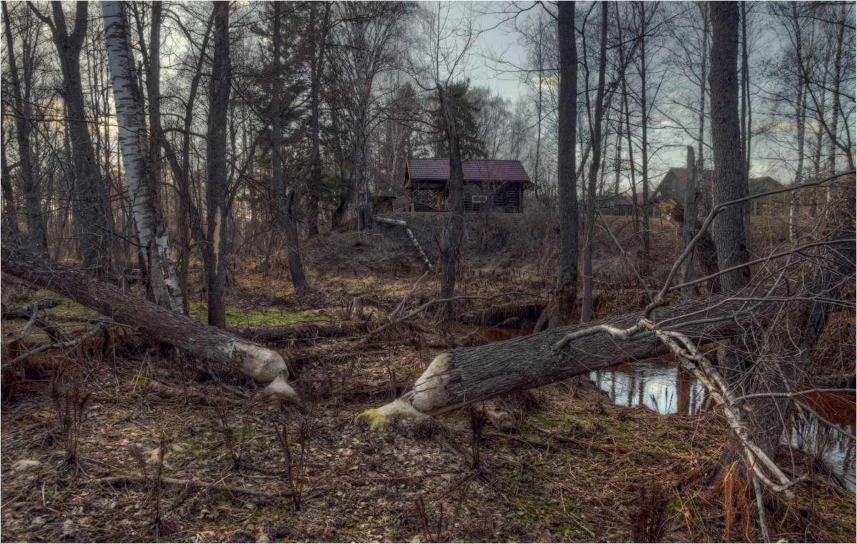 photo "***" tags: landscape, spring, water