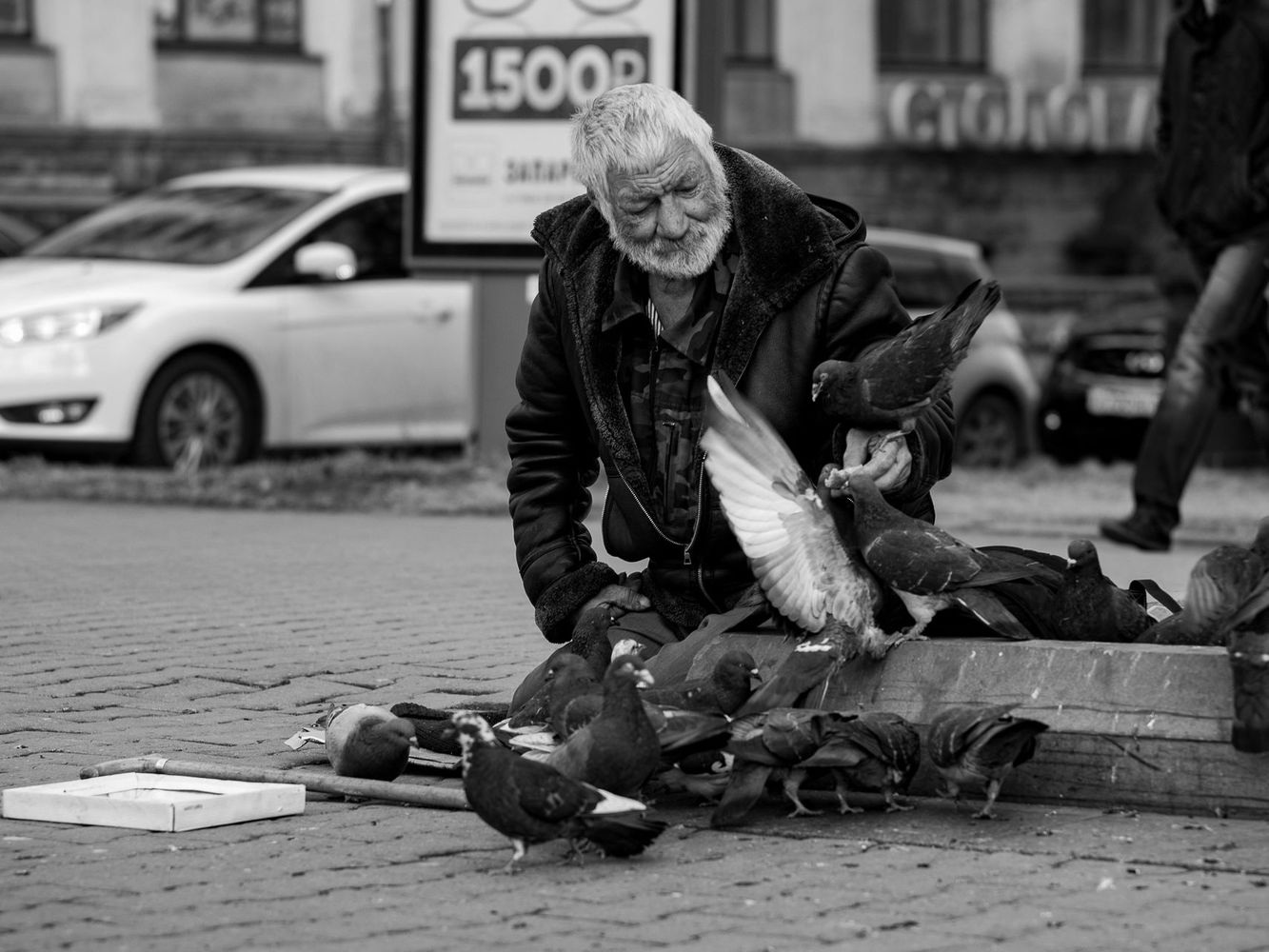 photo "***" tags: genre, street, бомж, бродяга, голуби