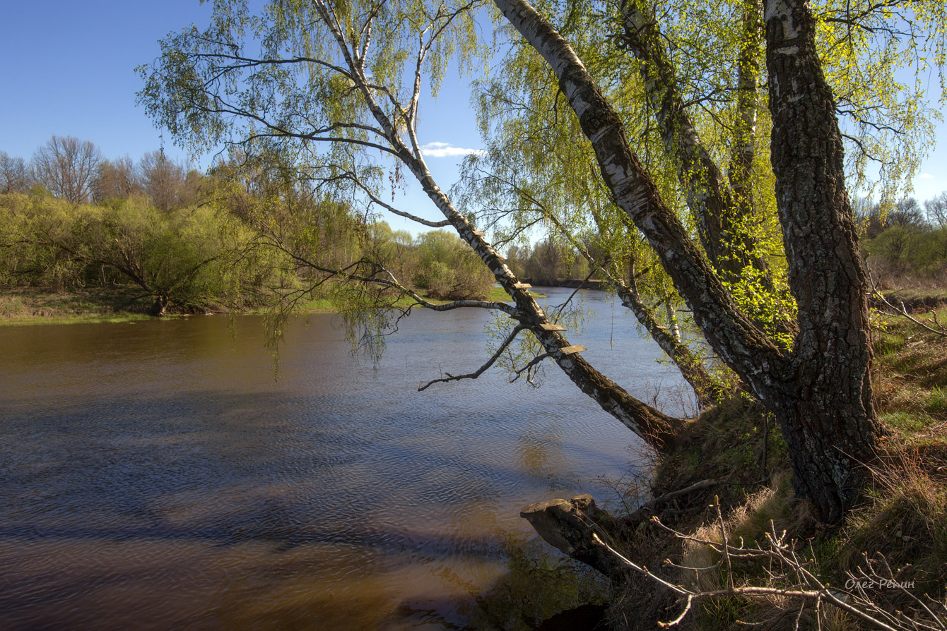 photo "***" tags: , river, spring, Клязьма