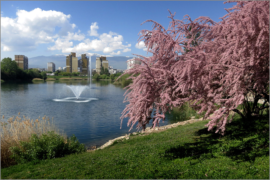 photo "Городской пейзаж из Софии" tags: city, nature, 