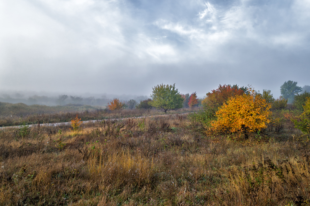 photo "Autumn sketch" tags: landscape, nature, autumn, clouds, grass, road, деревья