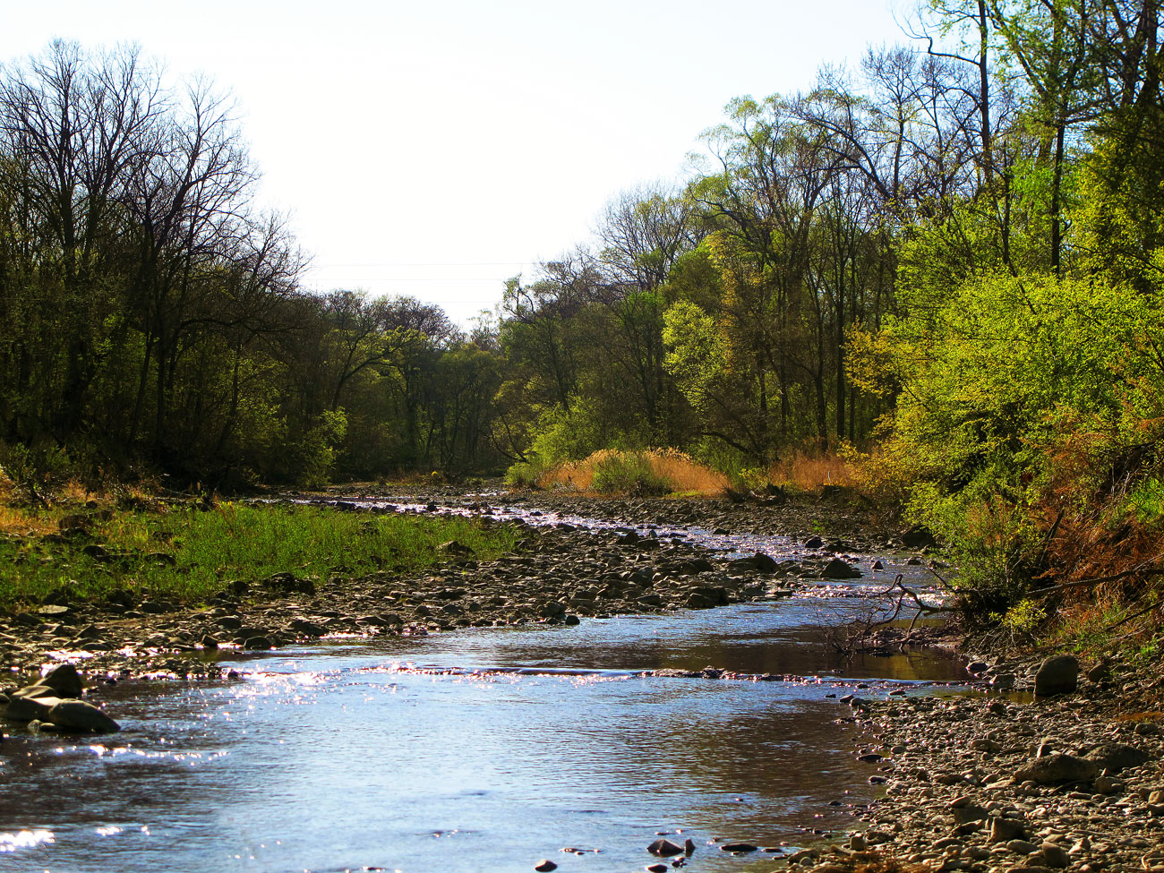 photo "***" tags: landscape, spring