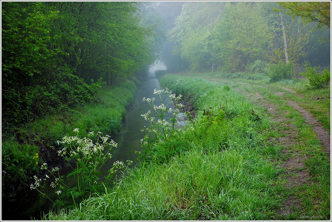 фото "***" метки: пейзаж, природа, 