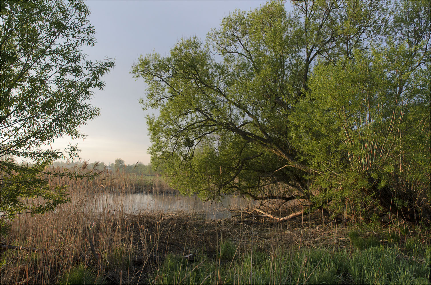 photo "***" tags: nature, landscape, 