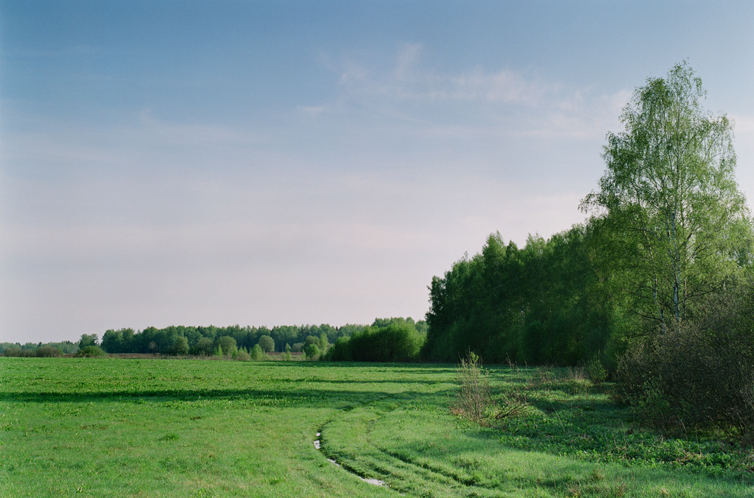 photo "***" tags: landscape, nature, forest, spring