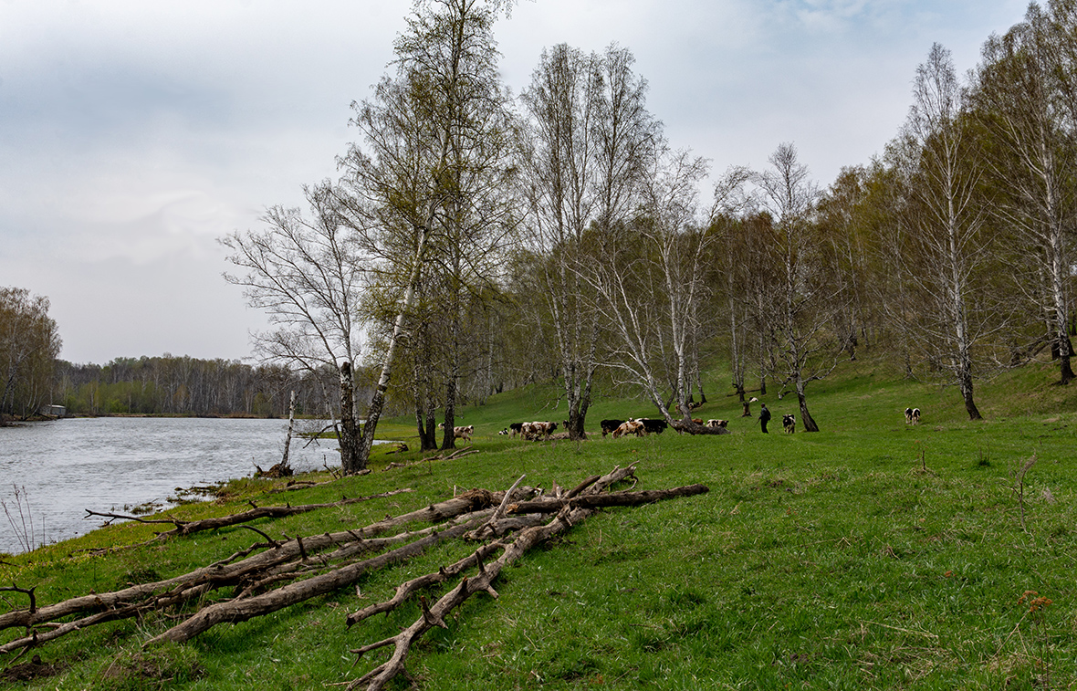 photo "***" tags: nature, landscape, 
