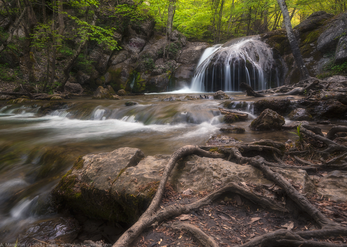 photo "***" tags: , Crimea, forest, spring, буковый, водопад