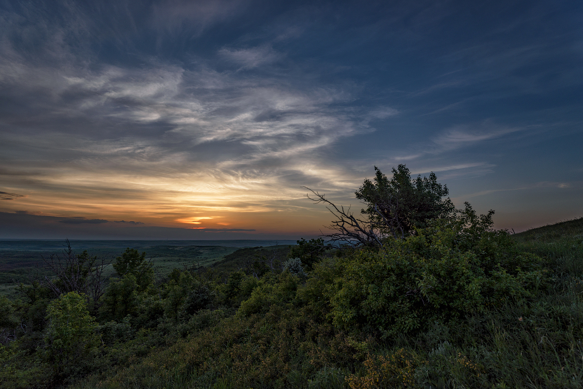 photo "Dusk" tags: landscape, nature, clouds, grass, sky, sunset, деревья, сумерки