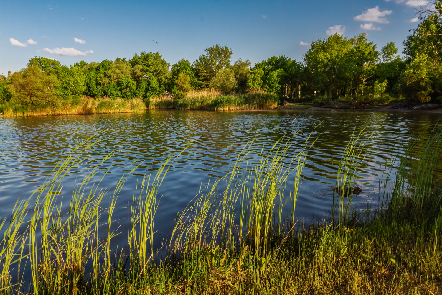 photo "***" tags: landscape, nature, 