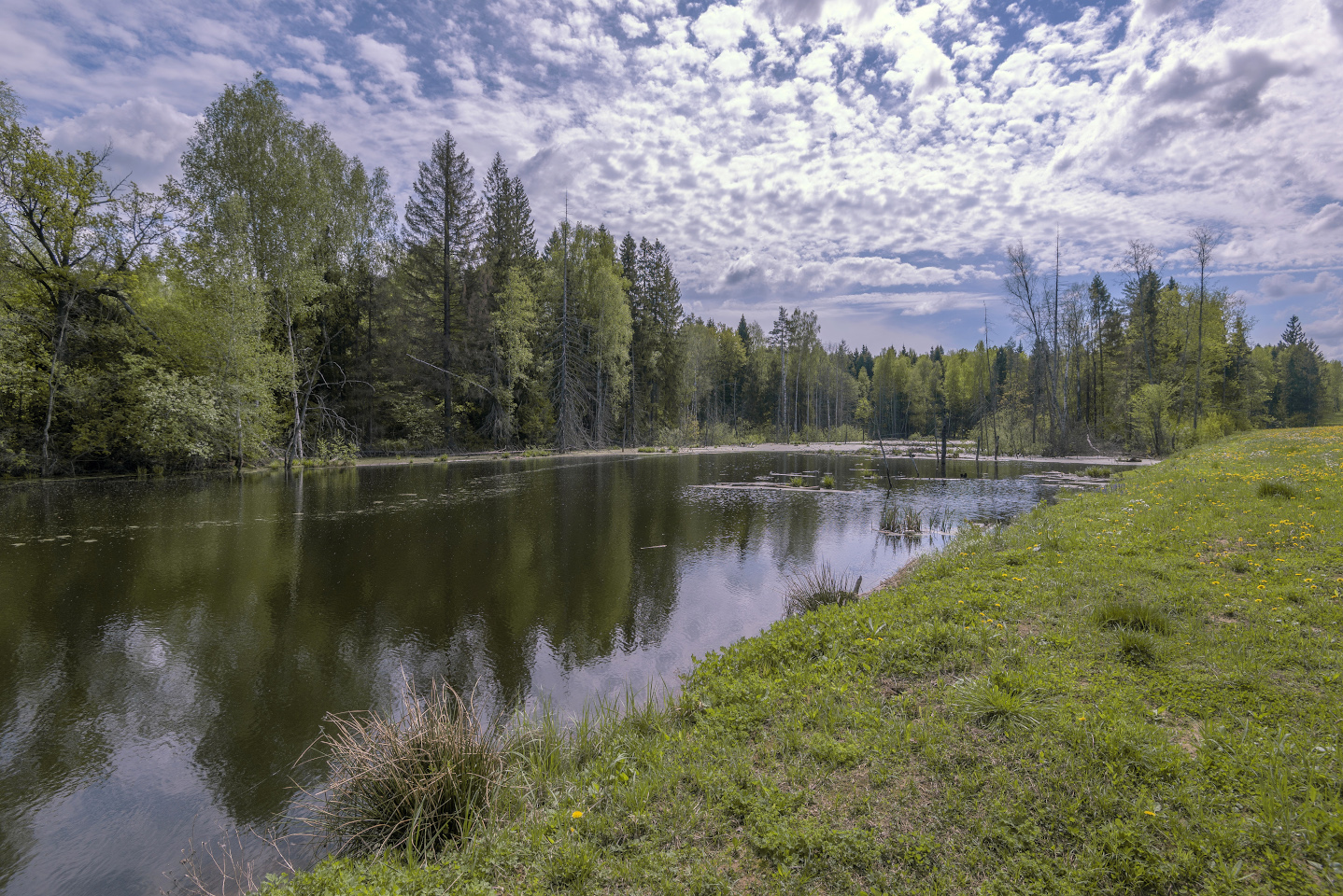 photo "***" tags: landscape, 
