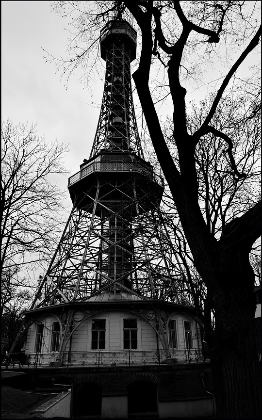 photo "Петршинская башня и дерево" tags: black&white, Prag, Prague, Praha