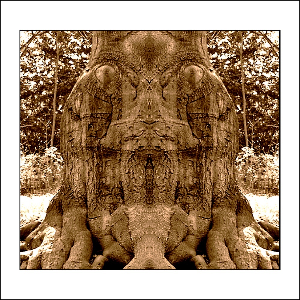 photo "der froschkönig" tags: digital art, still life, nature, mirror, sepia, tree