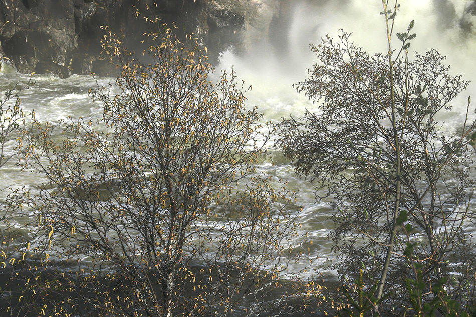 photo "Spring by the waterfall" tags: landscape, nature, 