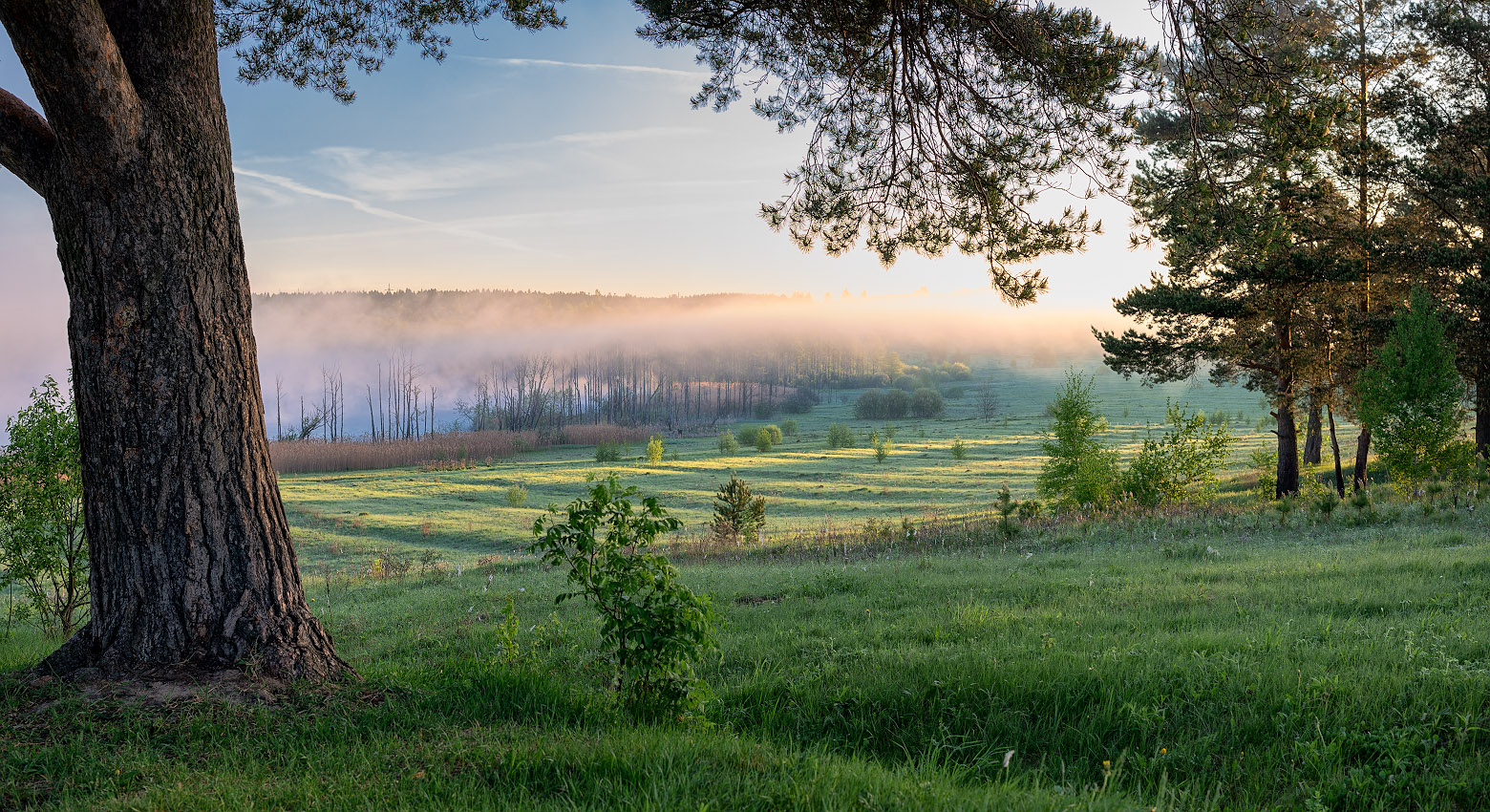 фото "Утро" метки: пейзаж, природа, 