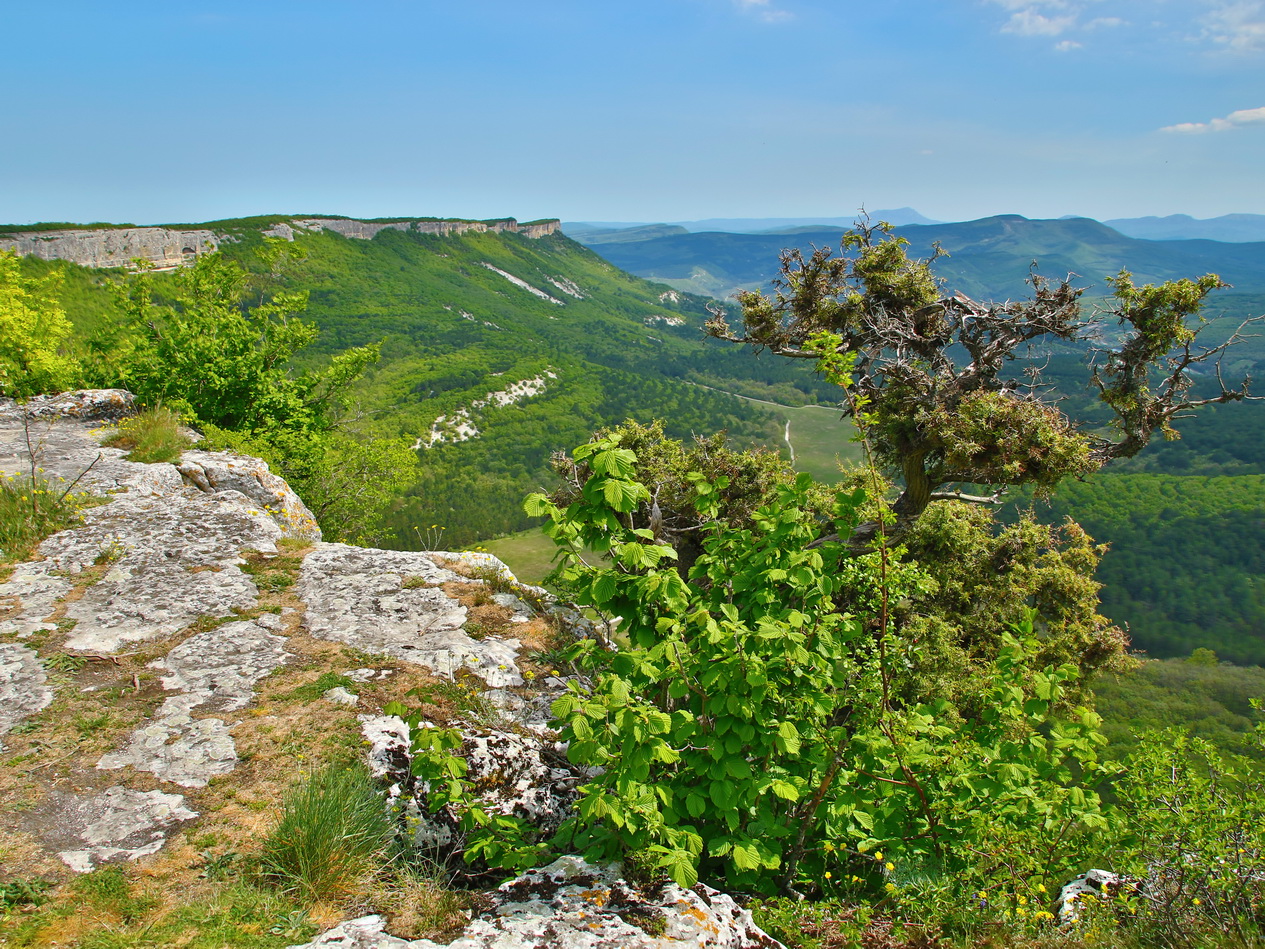 photo "***" tags: landscape, travel, nature, Crimea