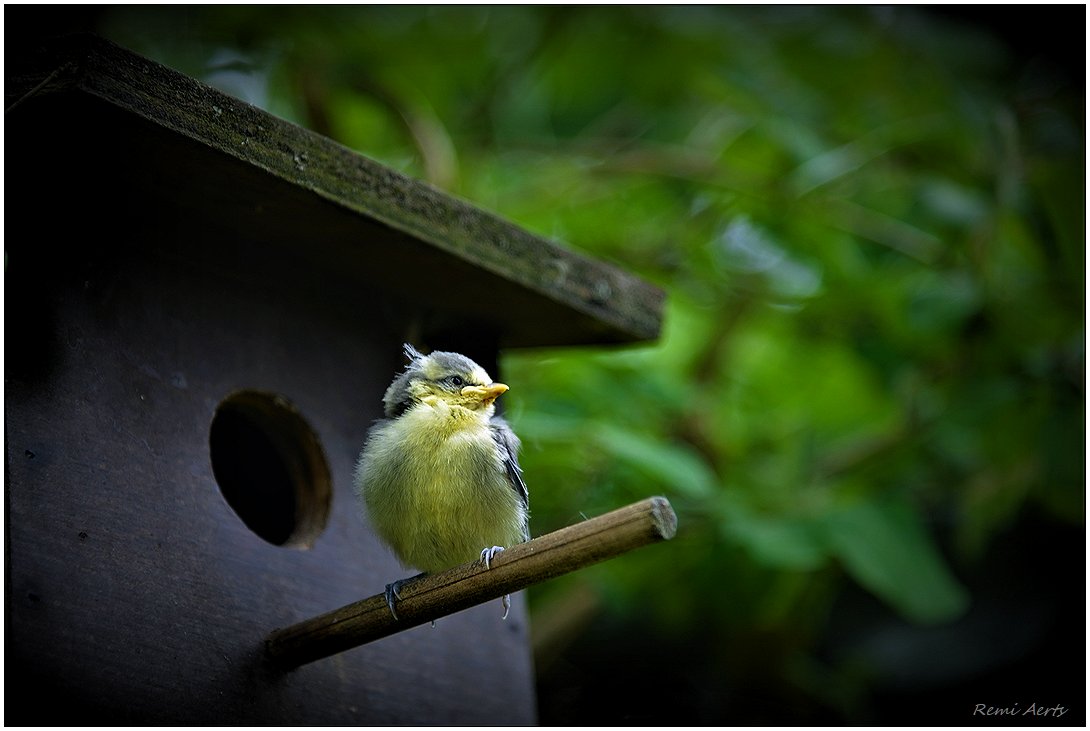 фото "***" метки: природа, фрагмент, 