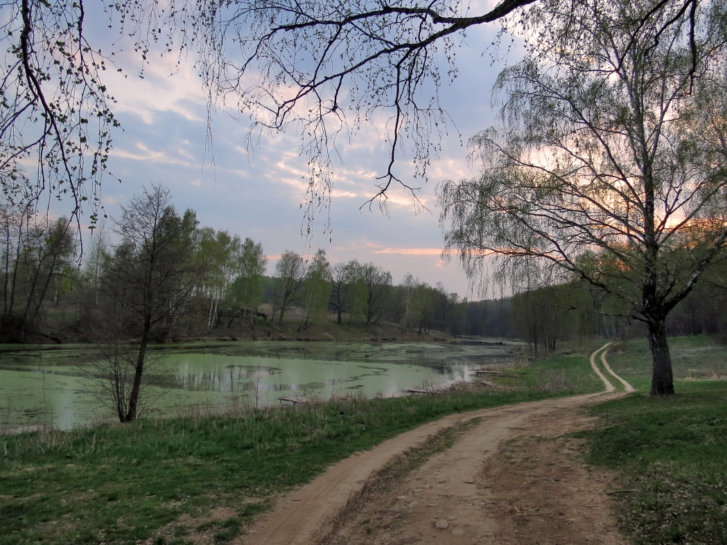 photo "April evening" tags: landscape, 