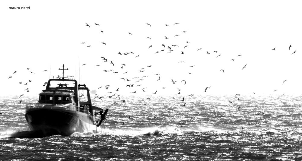 photo "on the sea" tags: black&white, 