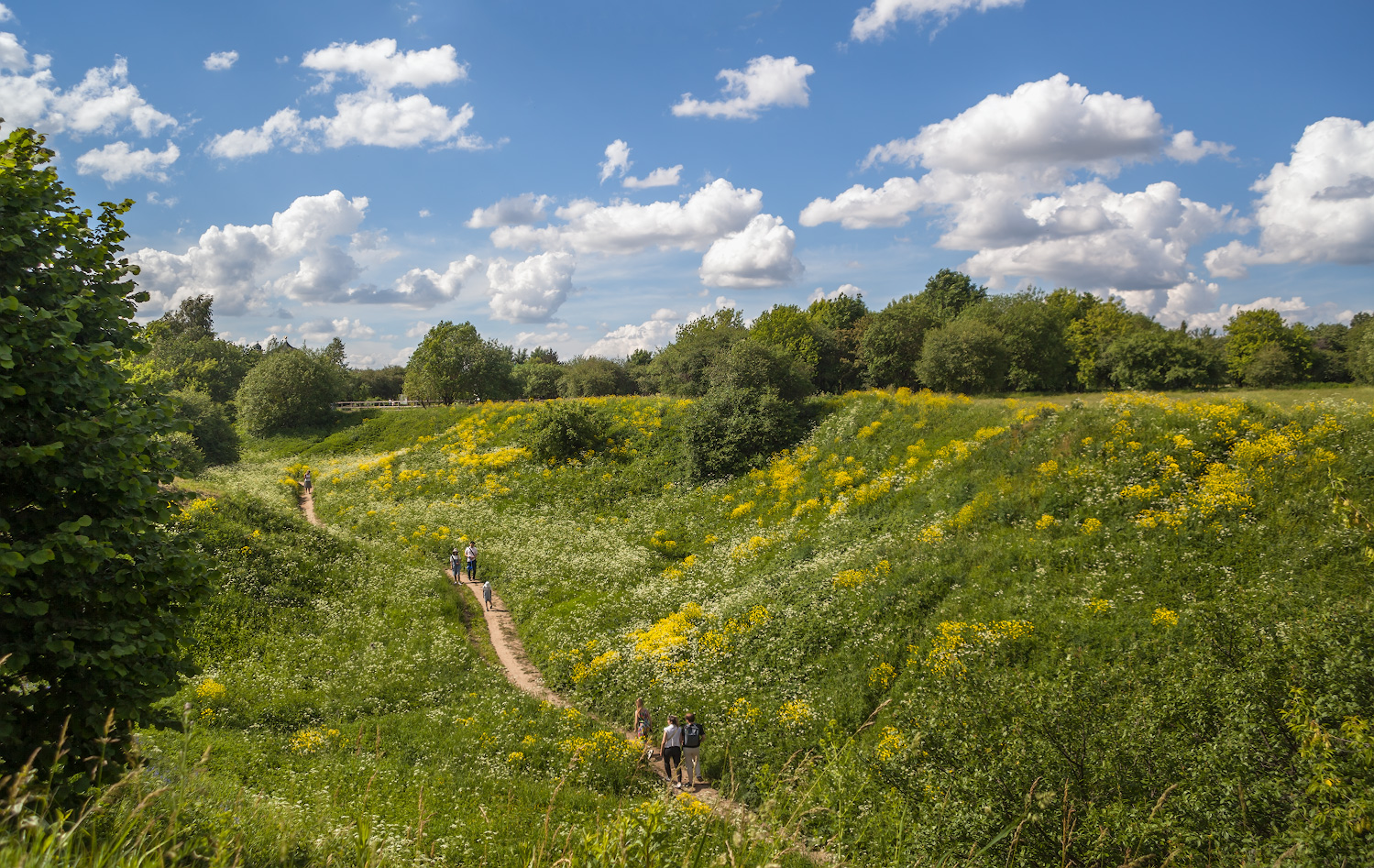 photo "***" tags: landscape, nature, 