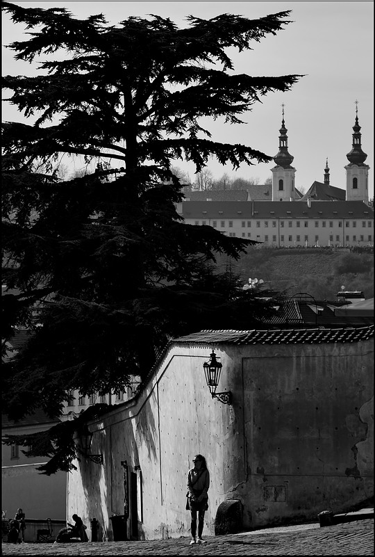 photo "Фотография из Градчан" tags: black&white, Prag, Prague, Praha