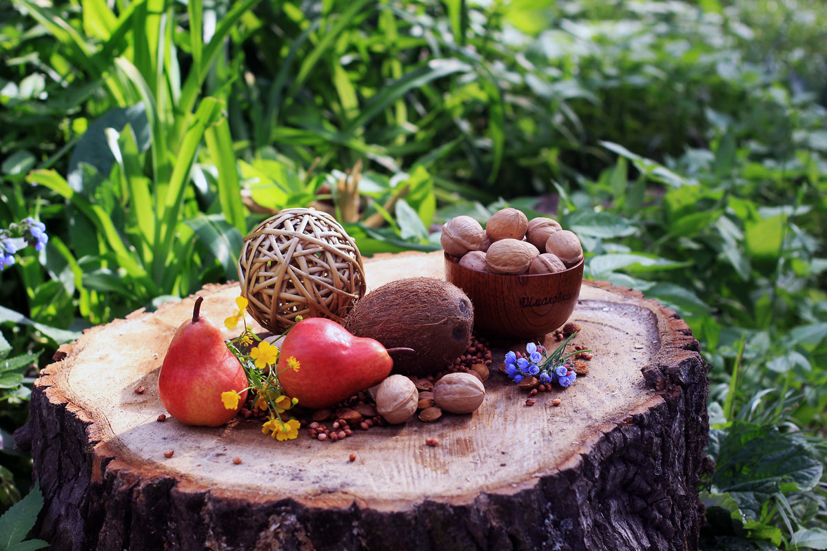 photo "***" tags: still life, forest, summer, краски.