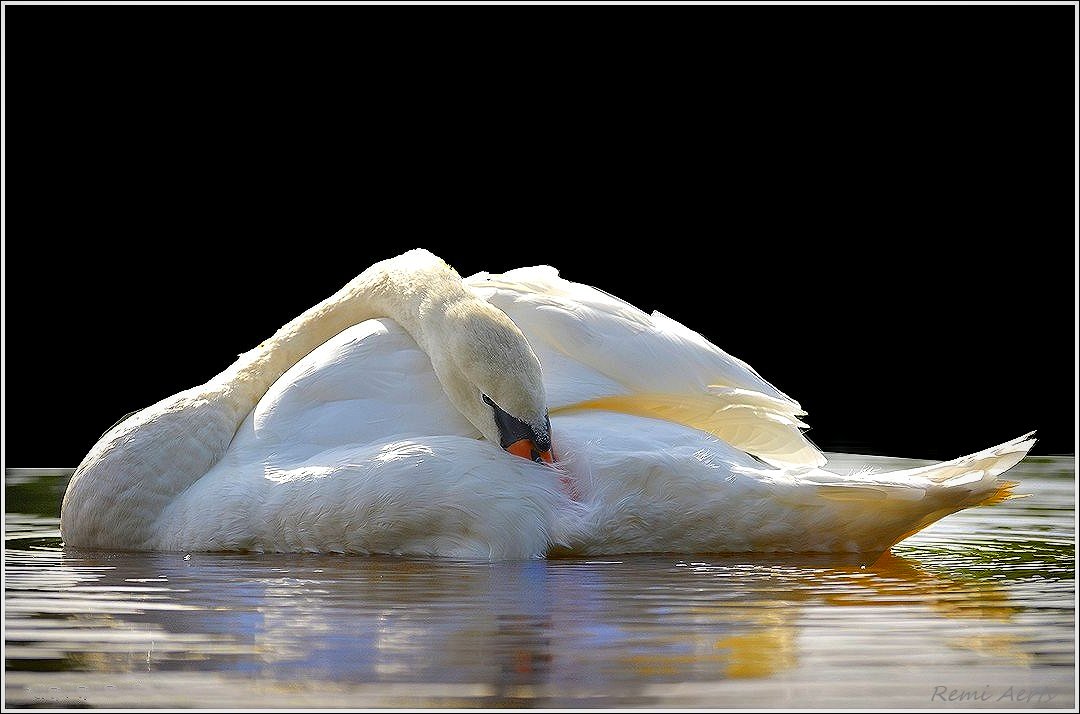 фото "***" метки: репортаж, природа, 