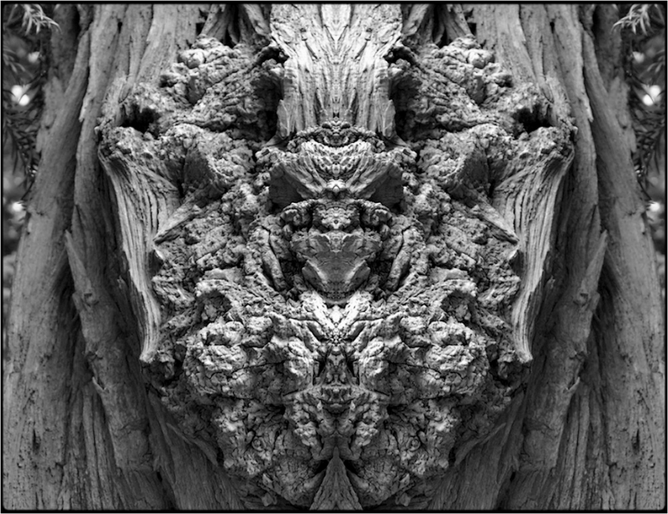 фото "samael" метки: digital art, макро и крупный план, природа, B/w, bark, closeup, mirror, tree