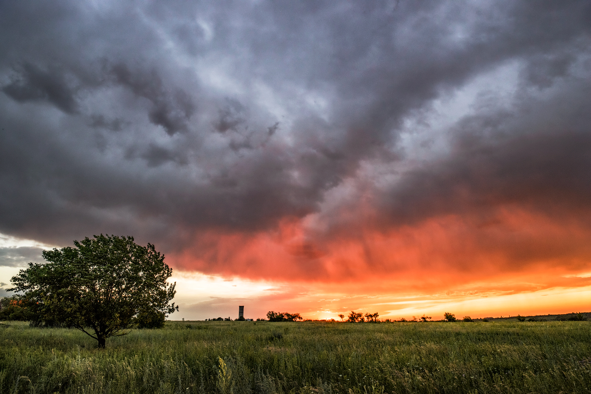 photo "It seems the rain is starting." tags: landscape, clouds, grass, rain, sunset, tree, тучи