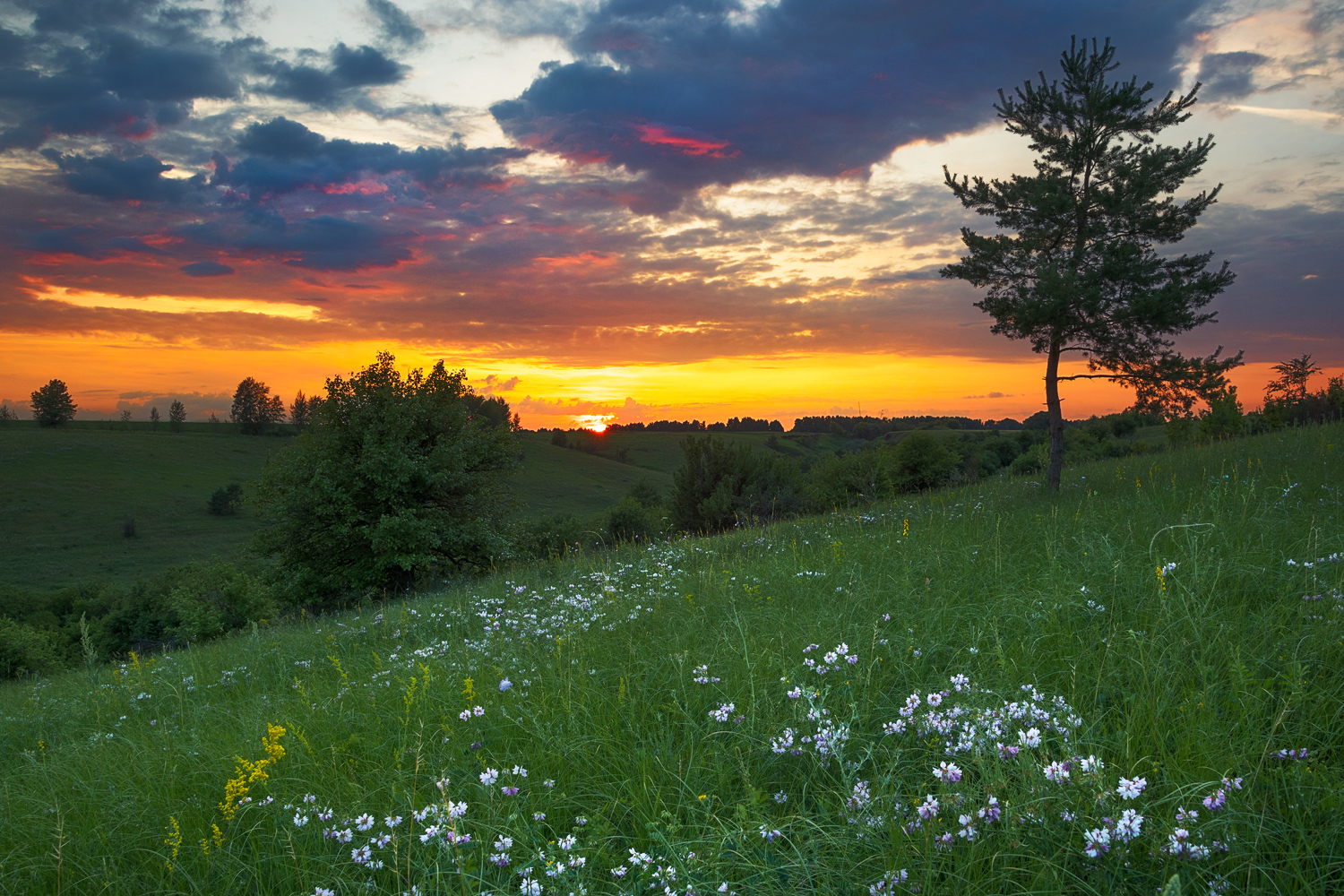 фото "***" метки: пейзаж, 