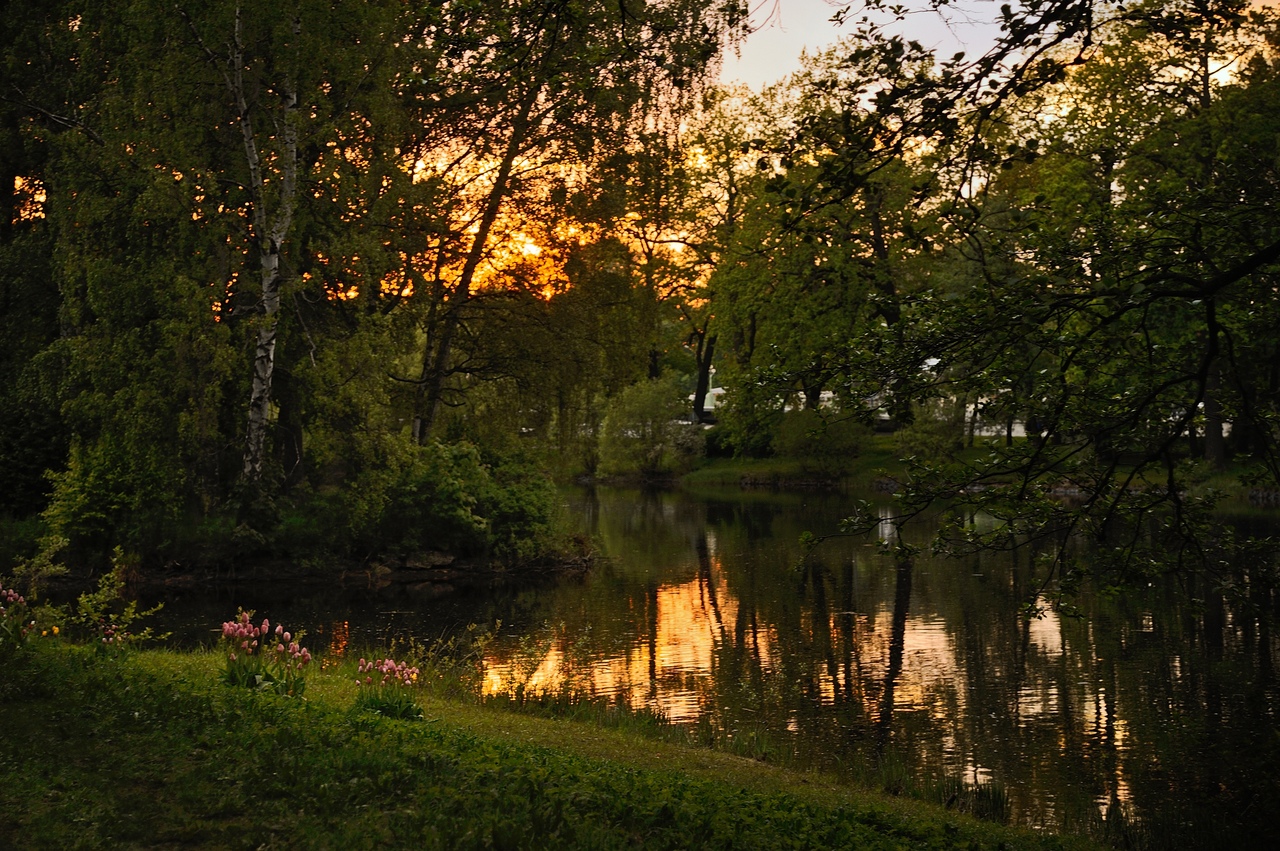photo "***" tags: landscape, nature, St. Petersburg, park, sky, sunset, water, Елагин остров, СПб, фото, фотограф, фотограф Спб