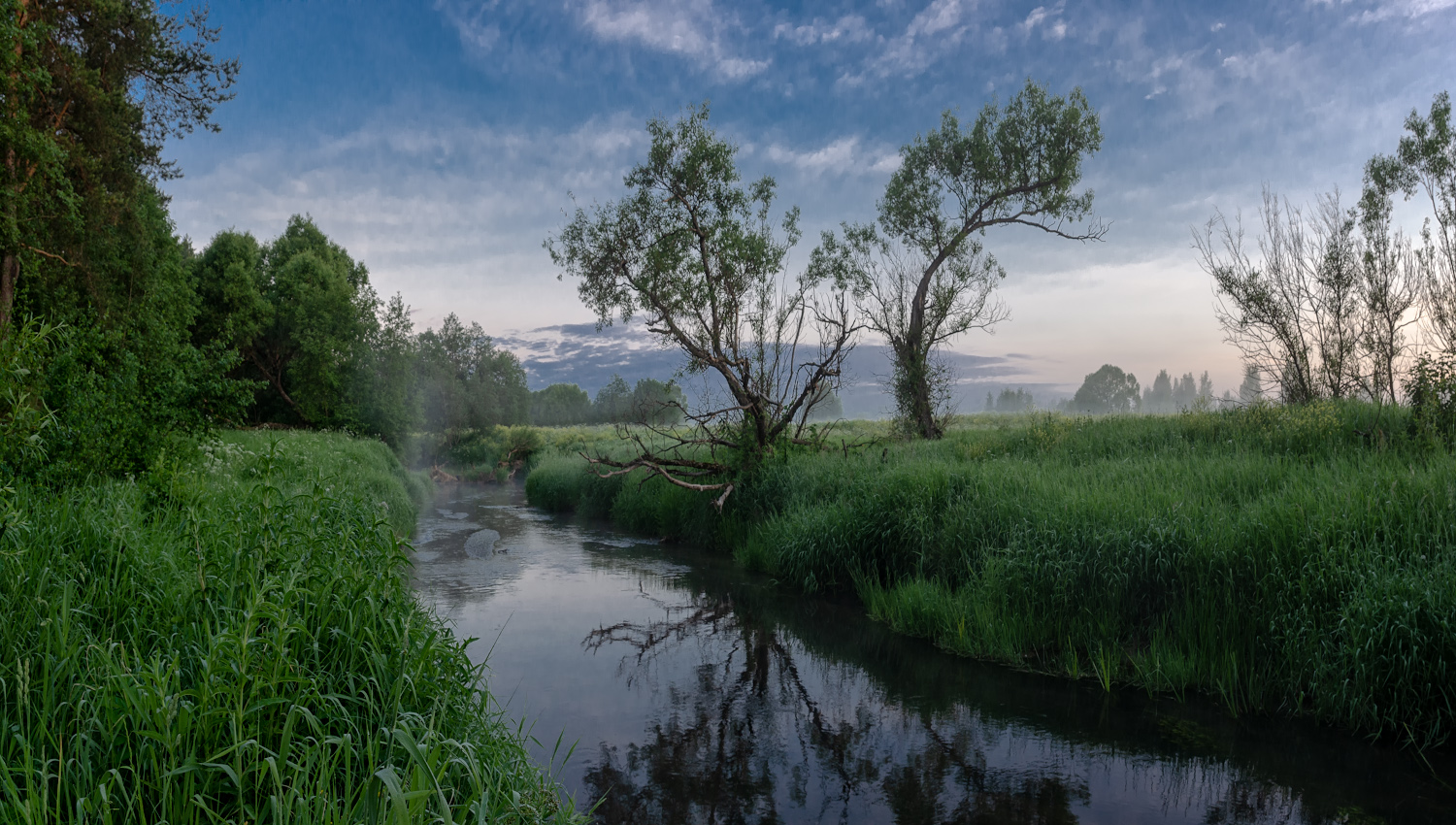 photo "***" tags: nature, landscape, 