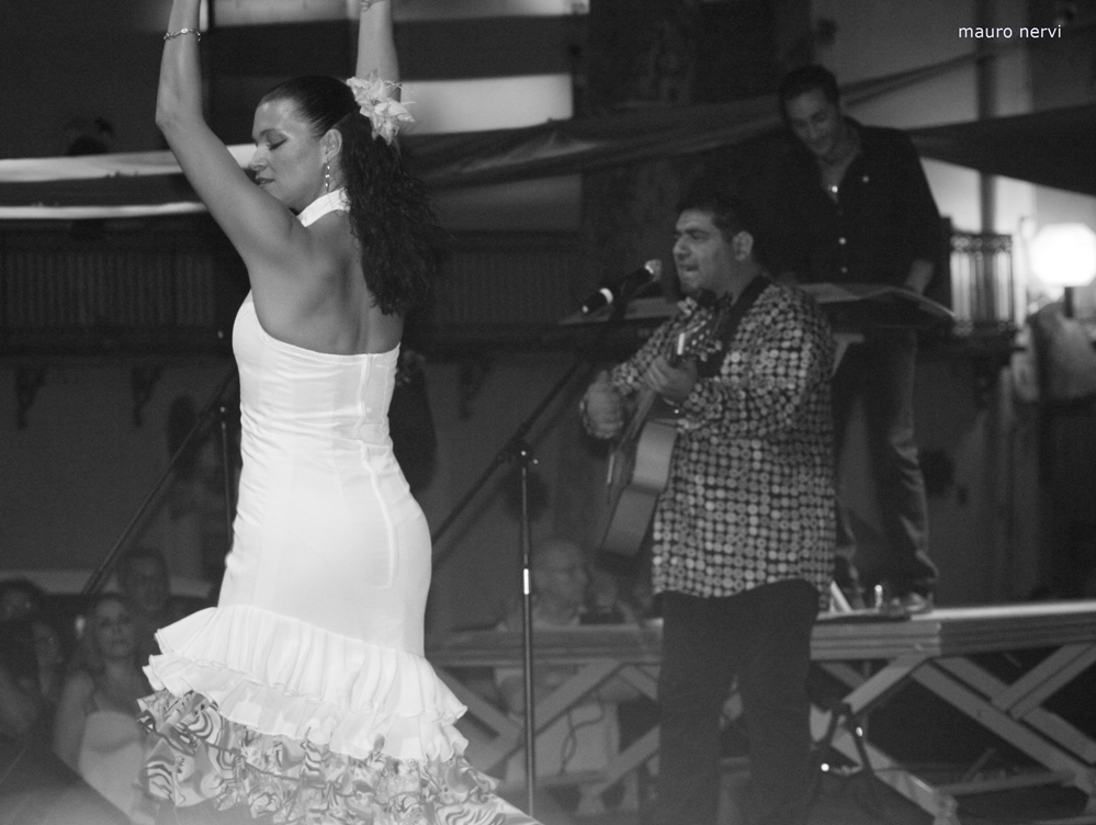 photo "flamenco" tags: black&white, 