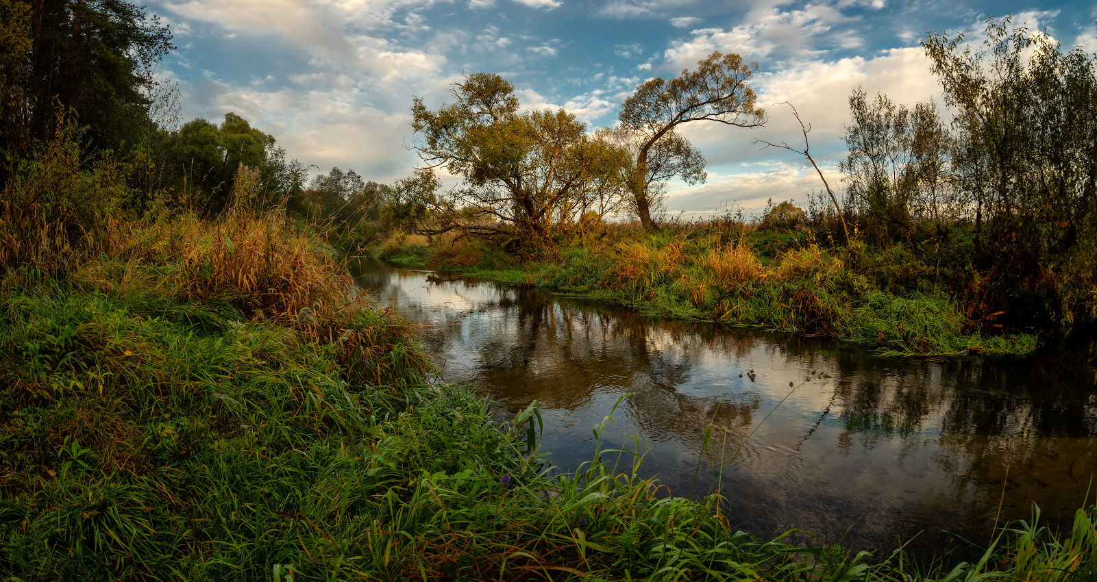 photo "***" tags: landscape, nature, 