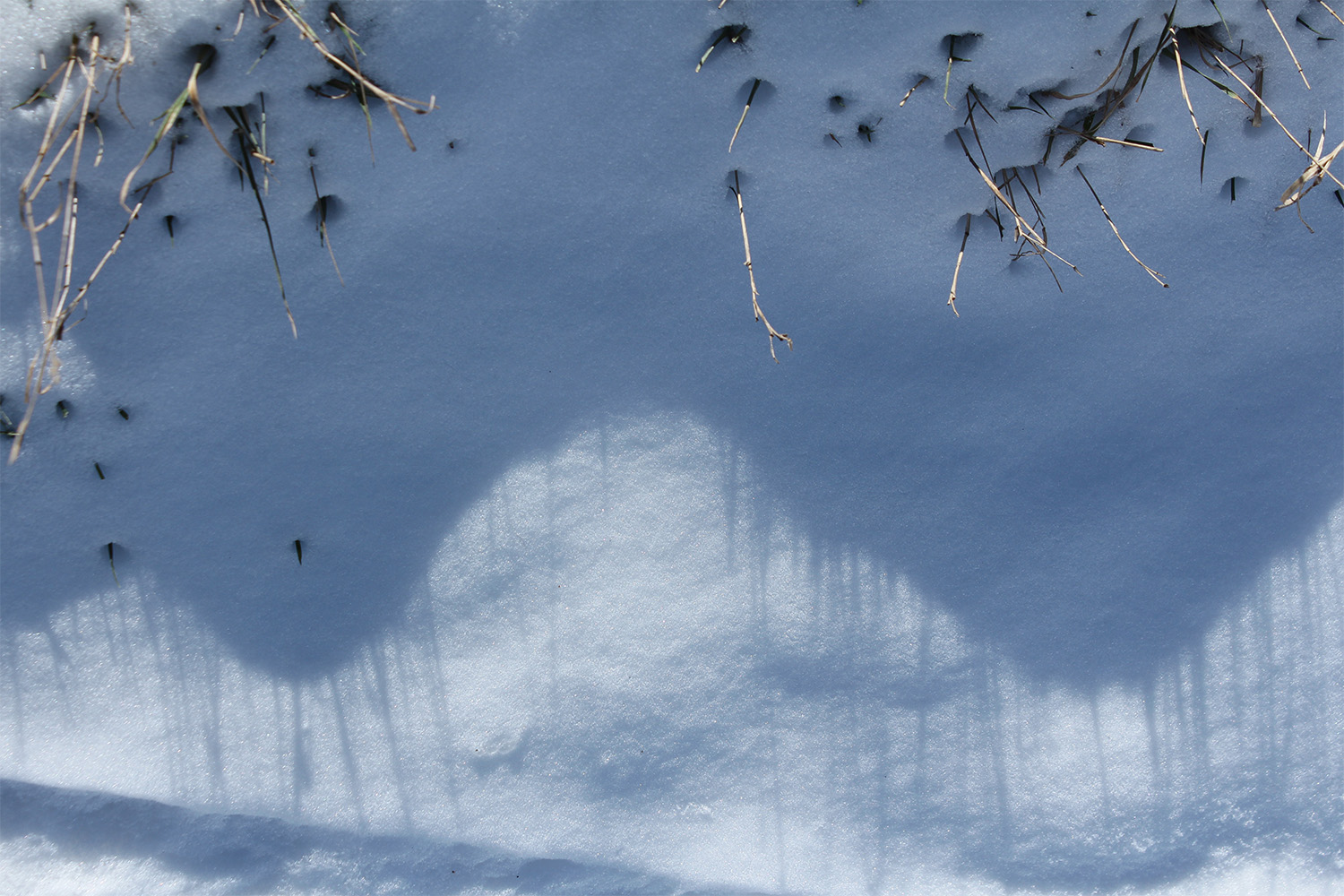 photo "Зима засыпает." tags: landscape, snow, winter, тени