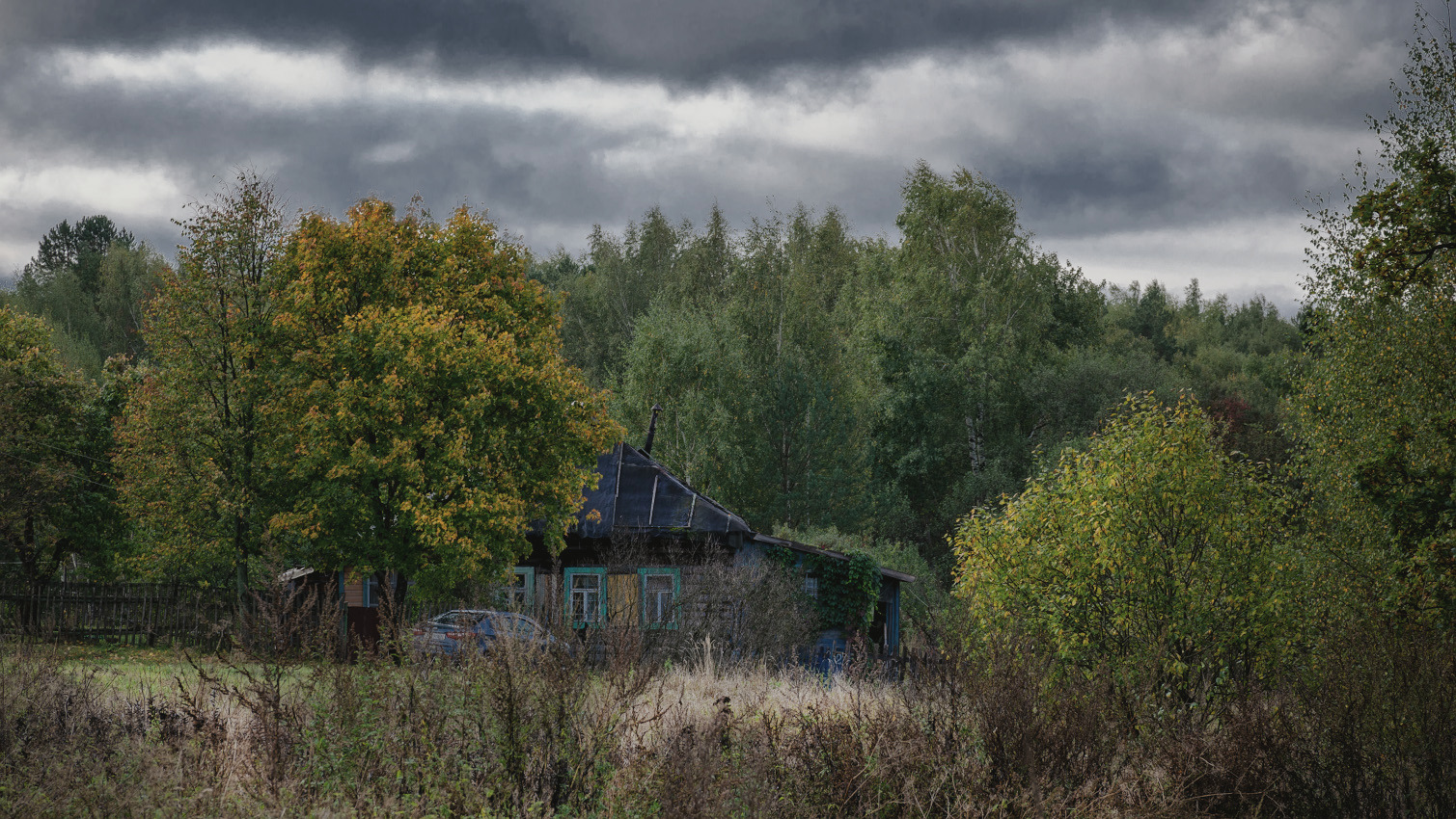 фото "В д. Ведево..." метки: природа, пейзаж, 