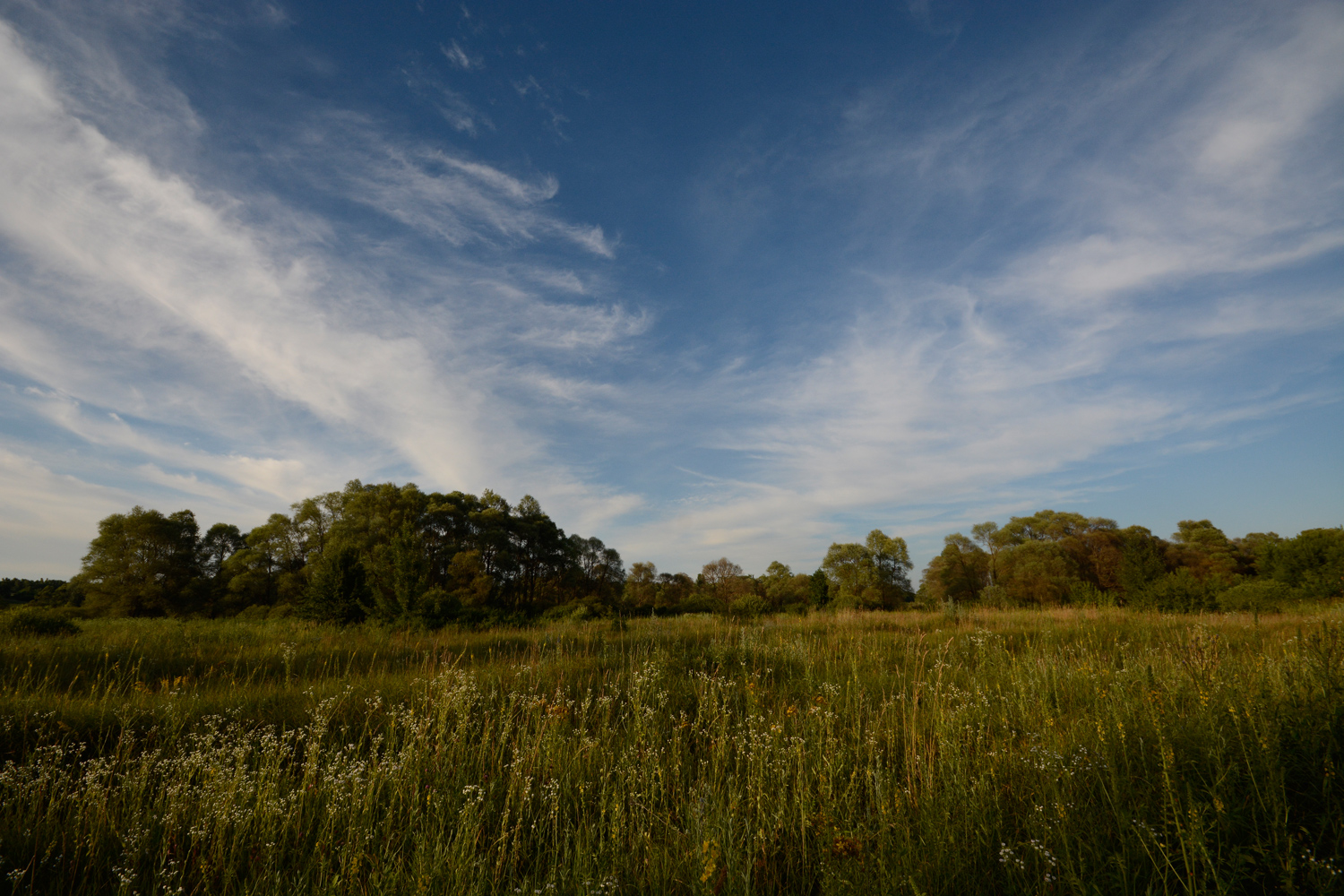 фото "Цветут луга..." метки: пейзаж, лето, луг, небо, облака, травы, цветение