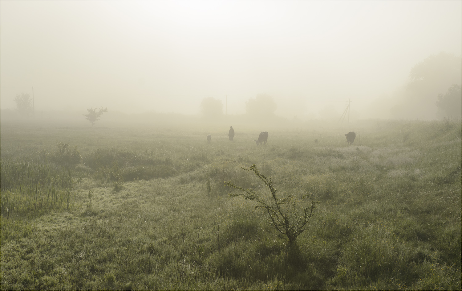 фото "***" метки: пейзаж, 