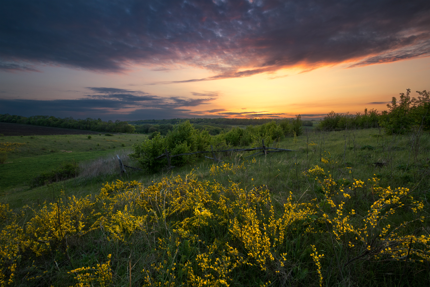 photo "***" tags: landscape, 